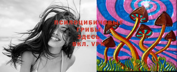 эйфоретик Армянск
